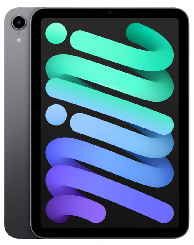 Apple iPad mini (2021) Wi-Fi 256Gb Space Gray (MK7T3)